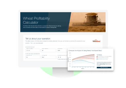 Wheat Profitability Calculator Preview