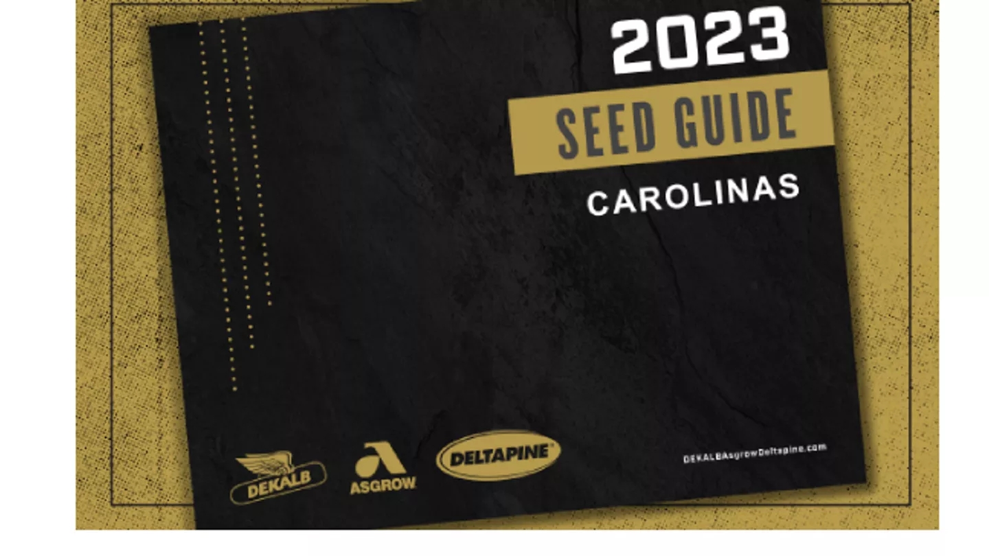 Promo Tools of Download Local Seed Guides