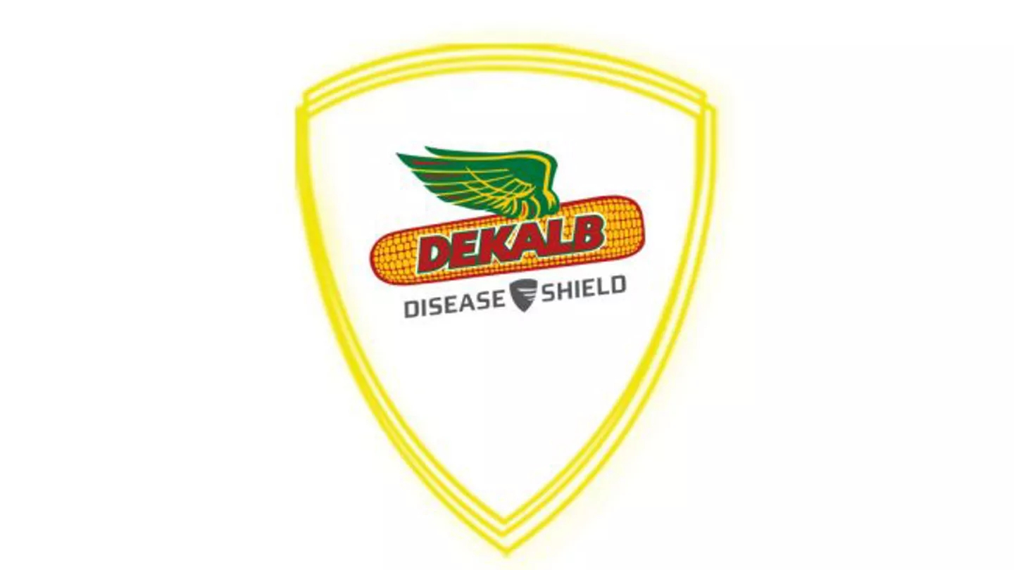Promo Tools of Shield Your Yield