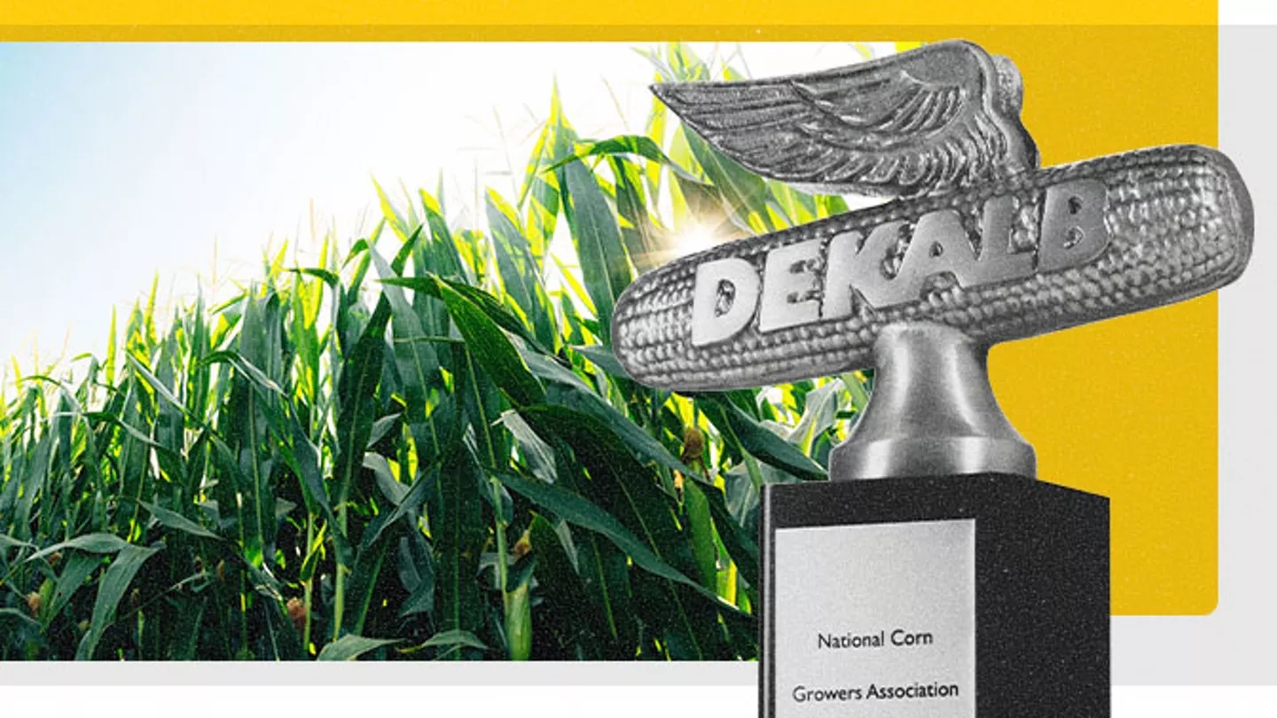 Promo Tools of 2024 NCGA National Corn Yield Contest