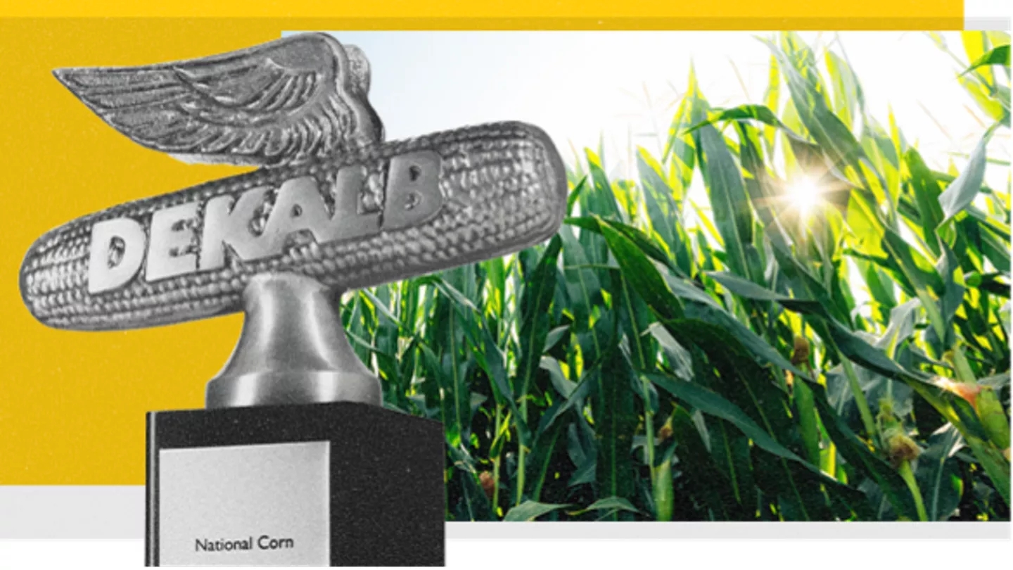 Promo Tools of 2024 NCGA National Corn Yield Contest