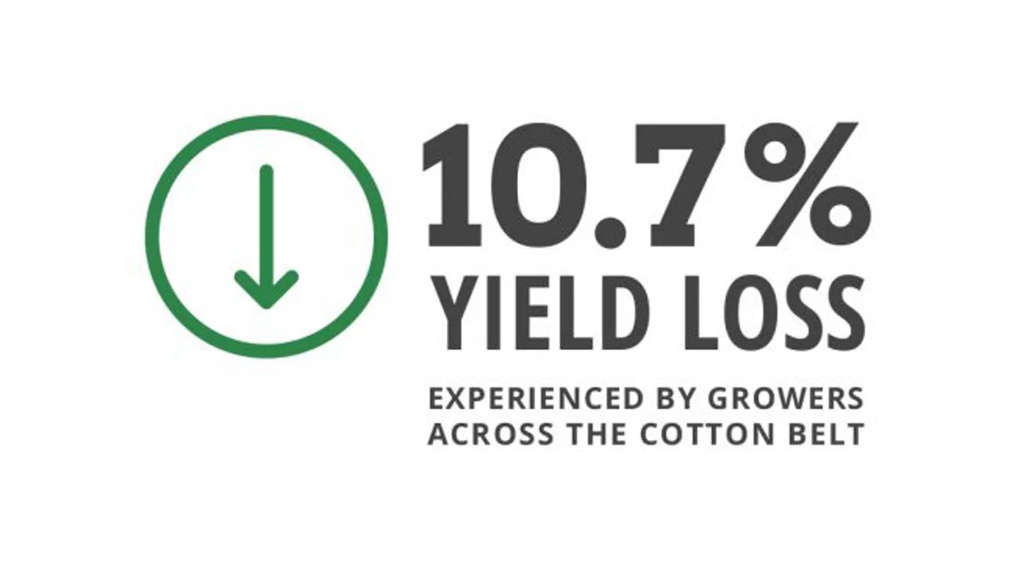 Promo Tools of Nematode pressure exists in a range of soil types across the Cotton Belt and robs growers of up to 10.7* percent of yields. Learn how Deltapine helps growers protect their seed — inside and out.