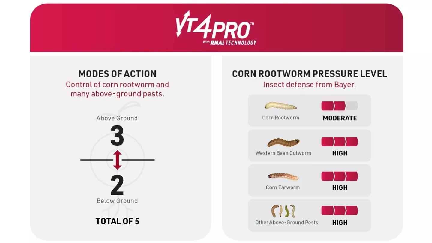 Promo Tools of Our Widest Spectrum of Insect Defense