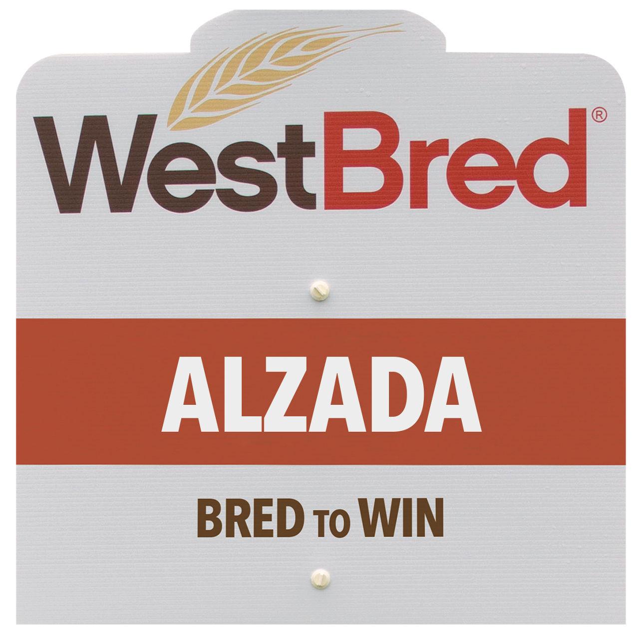 ALZADA westbred