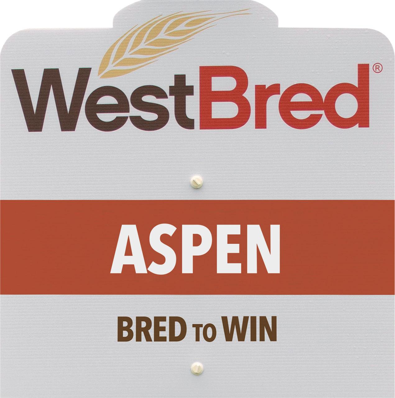 ASPEN westbred