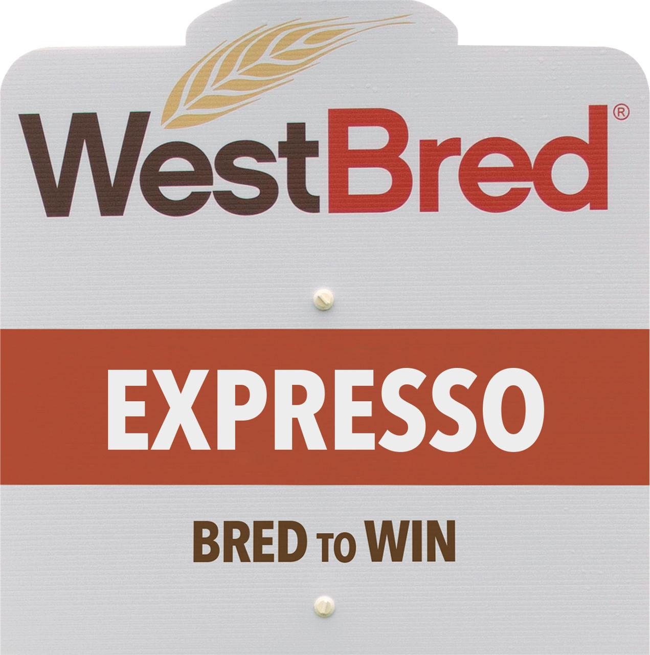 EXPRESSO westbred