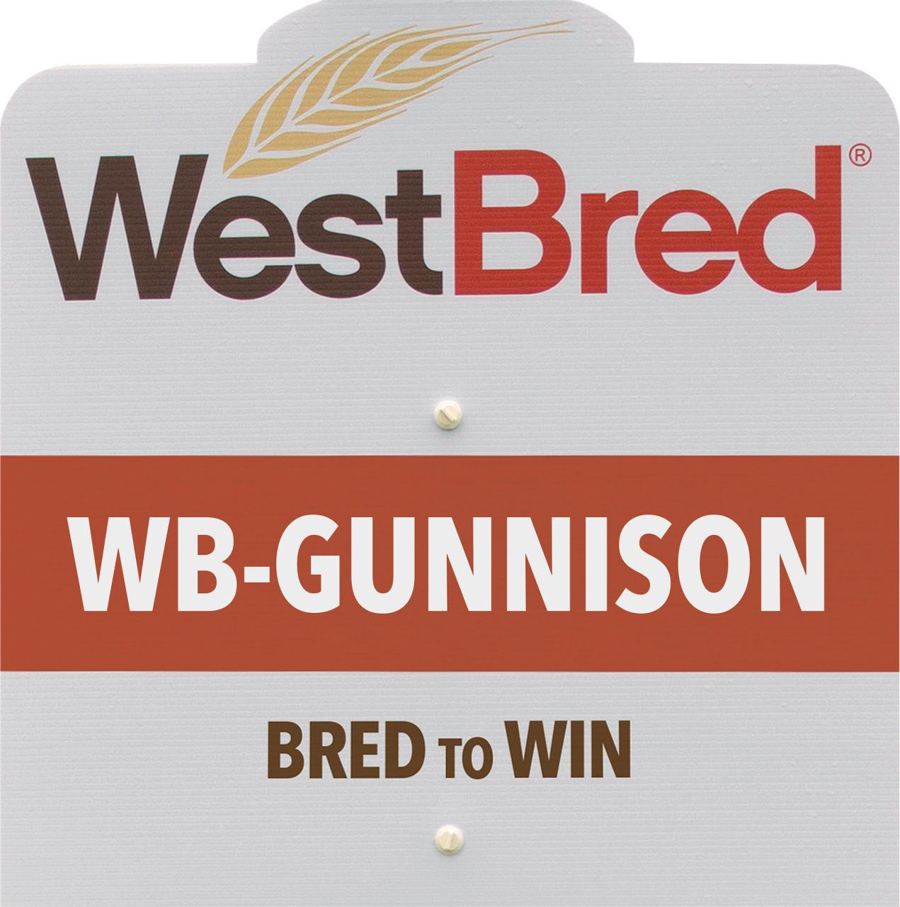 WB-GUNNISON westbred