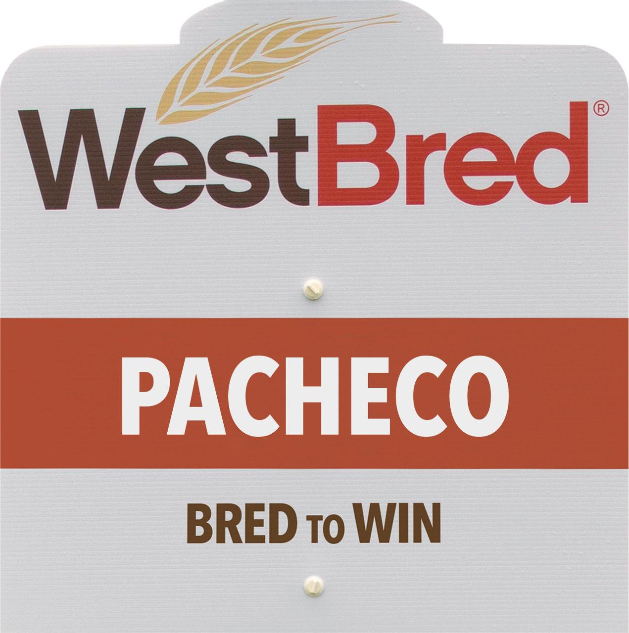 PACHECO westbred