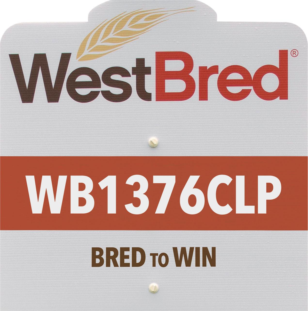 WB1376CLP westbred