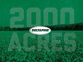 Icon of 2,000 Acres of Deltapine® Brand Cotton