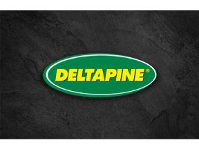 Icon of DELTAPINE