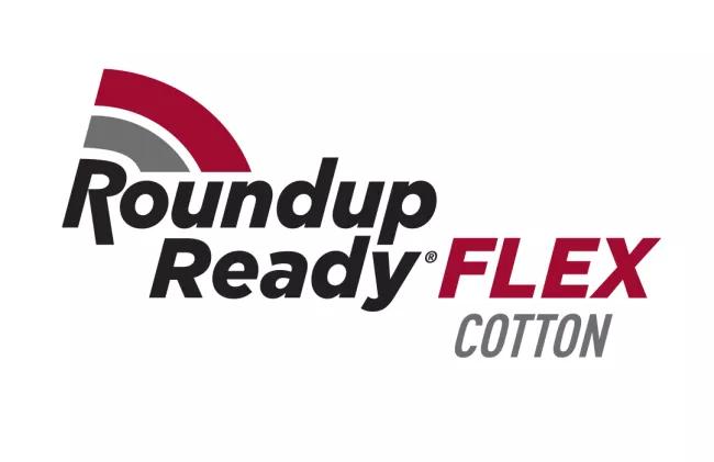 Deltapine® Brand Cotton